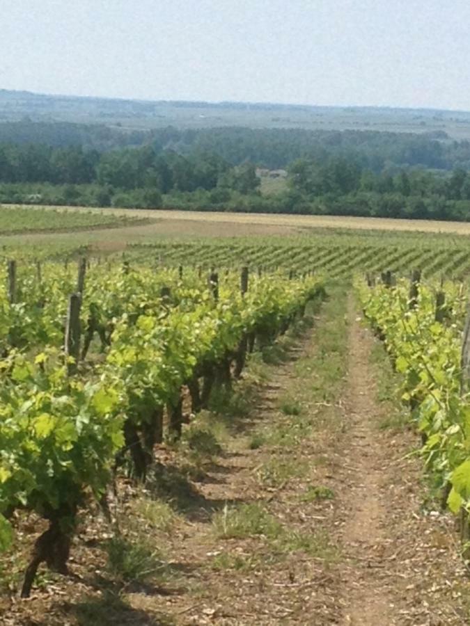 Gite Du Calme 3 Star Bed & Breakfast Cognac Cherac Luaran gambar